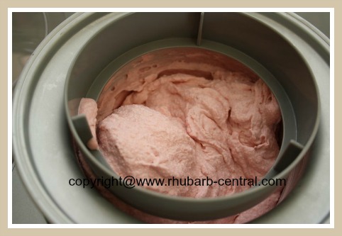 Homemade Raspberry Rhubarb Ice Cream in Cuisinart Ice Cream Maker Machine