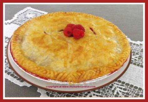 Homemade Rhubarb Pie Recipe Favourite