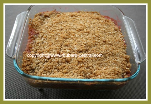 Homemade Rhubarb Cake Rhubarb Crumble Cake Recipe