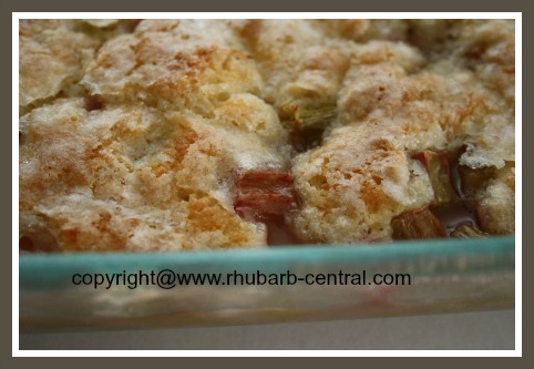 Homemade Rhubarb Cobbler