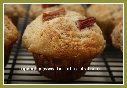 Homemade Muffins with Rhubarb Cinnamon Rhubarb Muffins