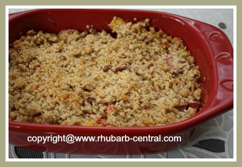 Homemade Rhubarb Peach Fruit Crumble/Oatmeal Topping