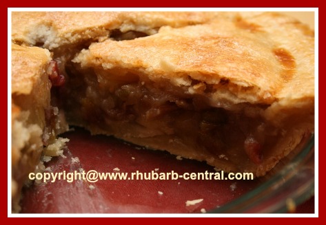 Homemade Rhubarb Pineapple Pie