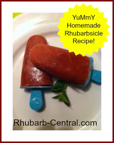 Homemade Rhubarb Popsicles Rhubarbsicle Recipe
