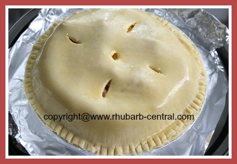 Homemade Strawberry Rhubarb Pie Oven Ready Homemade Strawberry Rhubarb Pie Oven Ready