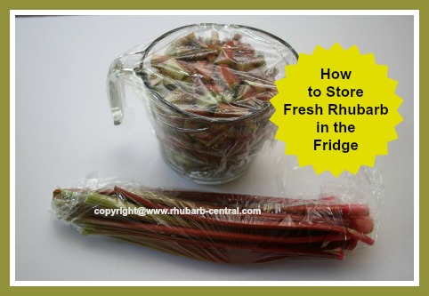 How to Store Keep Fresh Rhubarb in the Refrigertor