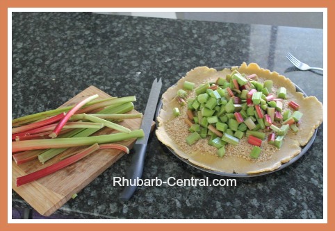 How to Make a Rhubarb Tart like an Open Faced Rhubarb Pie