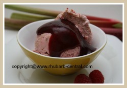 Rhubarb Ice Cream with Berry Sauce Topping