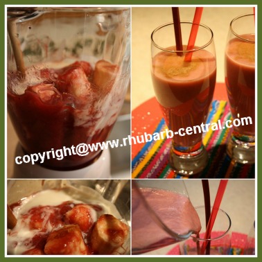 Making a Rhubarb Smoothie How to Make a Rhubarb Drink