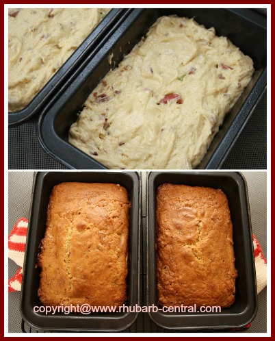 Making Rhubarb Bread at Home