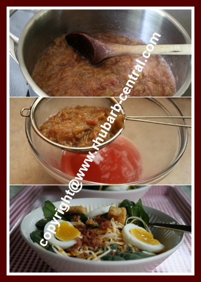 Making a Rhubarb Salad Dressing for Spinach Salad