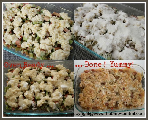 Making a Rhubarb Cobbler