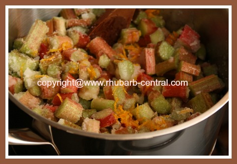 Making Fresh Rhubarb Freezer Jam at Home