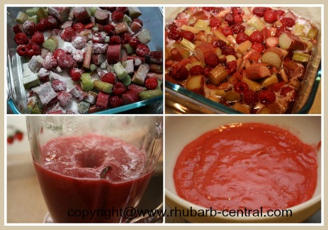 Making Rhubarb Ice Cream