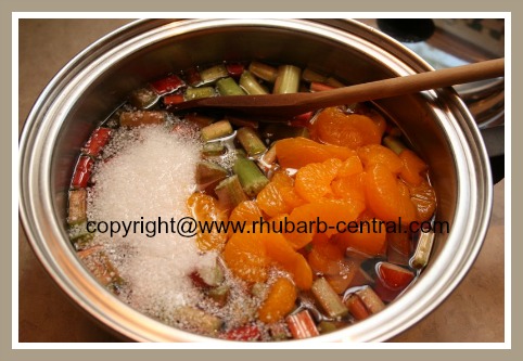 Making Rhubarb Orange Tapioca Dessert