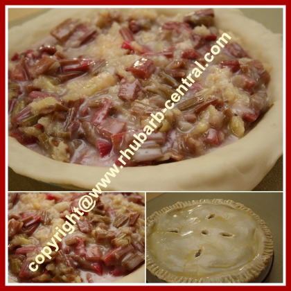 Making a Rhubarb Pineapple Pie at RhubarbCentral