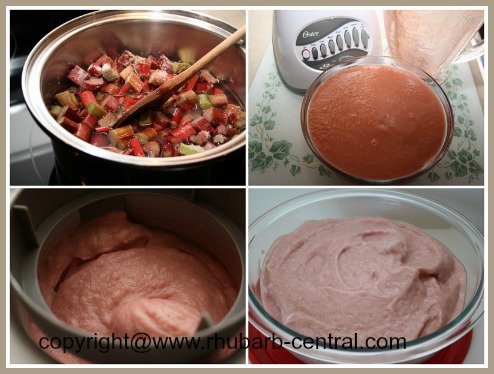 Making Rhubarb Sorbet Using an Ice Cream Maker Machine