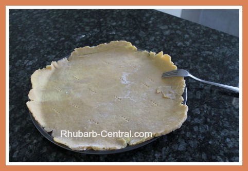 Making a Single Pie Pastry Crust Rhubarb Tart Recipe
