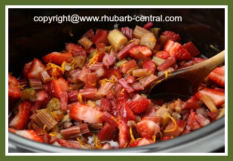 Making a Recipe for Strawberry Rhubarb Crockpot Sauce