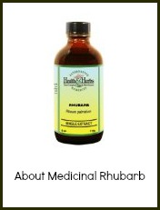 Medicinal Rhubarb