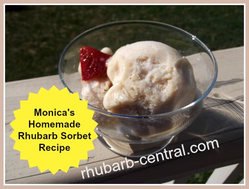 Monica's Homemade Rhubarb Sorbet with Fresh or Frozen Rhubarb and lemon juice