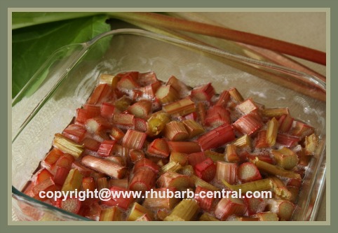 Oven Baked Rhubarb Sauce