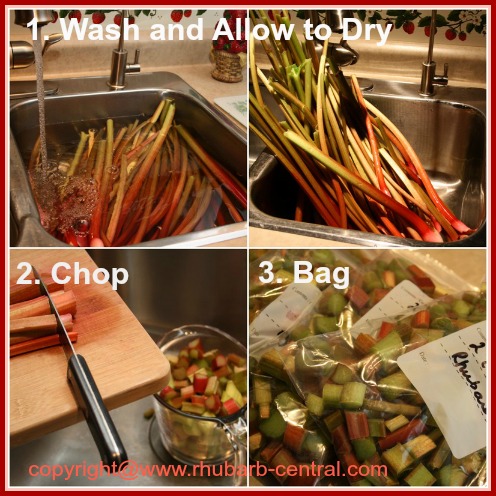 Picture Showing How to Freeze Rhubarb 