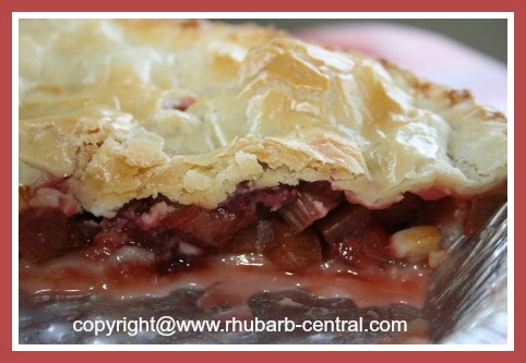 rhubarb pie frozen using strawberry strawberries recipe easy shield central crust