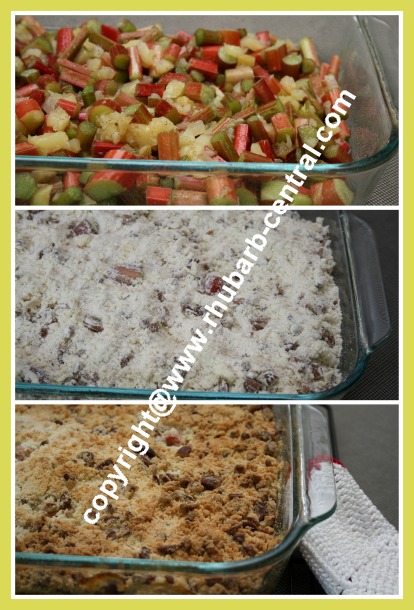 Pineapple Rhubarb Easy Dessert Recipe