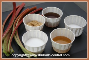 Raw Rhubarb Dipped in Sugar Honey Salt