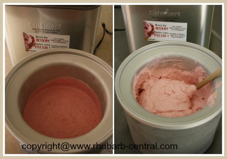 Recipe for Rhubarb Ice Cream Made in Ice Cream Maker