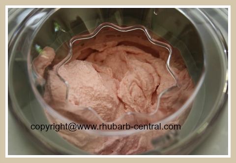 making rhubarb ice cream at home