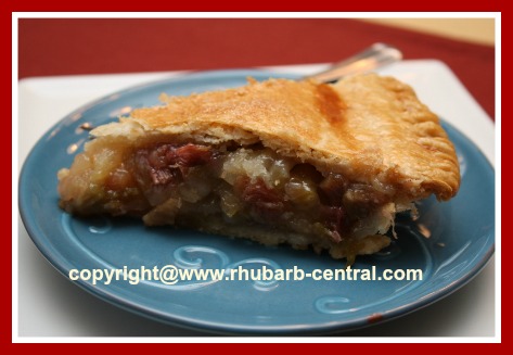 BEST Rhubarb Pineapple Pie Recipe