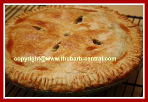 Rhubarb Pineapple Pie Recipe at RhubarbCentral