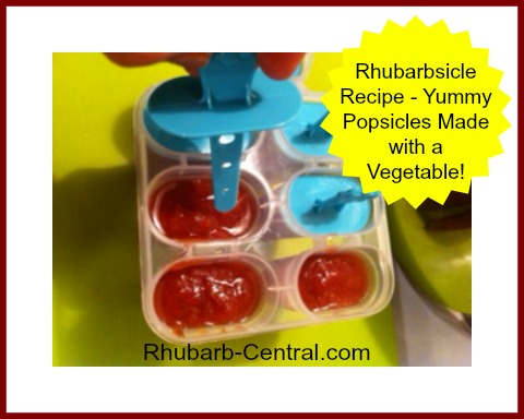 Rhubarb Recipe for Kids Rhubarb Popsicles