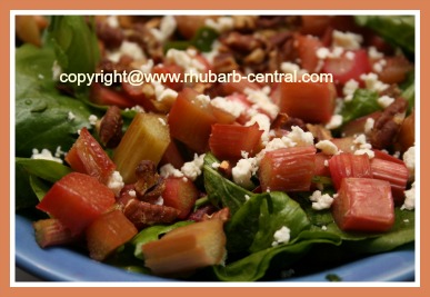 Rhubarb Salad Recipe  