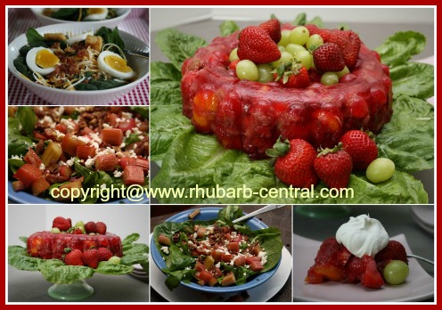 Rhubarb Salad Recipes to Make at Rhubarb-Centra.com