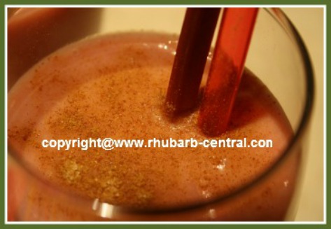 Rhubarb Banana Smoothie 