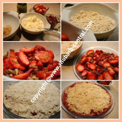 How to Make a STRAWBERRY RHUBARB CRUMBLE! #rhubarbcentral #rhubarbcrumble #rhubarbstrawberrydessert