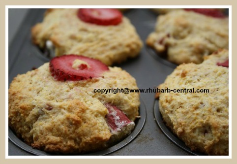 Rhubarb Strawberry Homemade Muffins Recipe