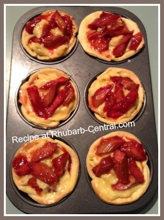 Rhubart Tartlets with Pudding /Custard Filling and Strawberry Grenadine Sauce