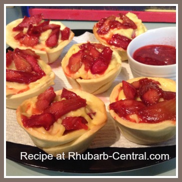 Rhubarb Custard Tart Recipe