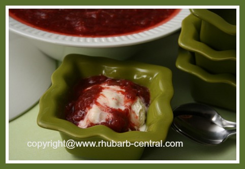 Homemade Rhubarb Sauce Topping on Ice Cream