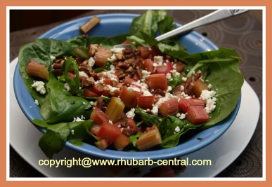 Roasted Rhubarb Salad 