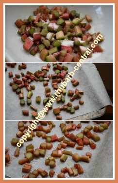 Roasting Rhubarb in the Oven for Making a Salad Roasting Rhubarb in the Oven