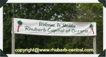 Shedden Ontario Canada Rhubarb Capital
