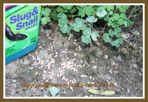 Slub and Snail Killer Bait