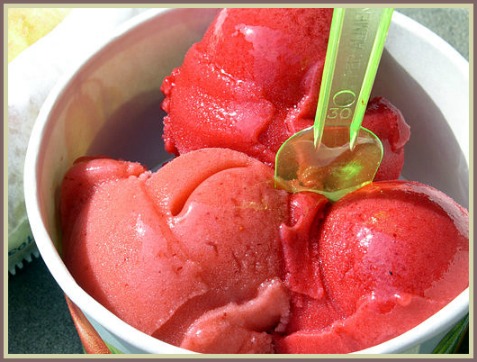 Picture of Sorbet