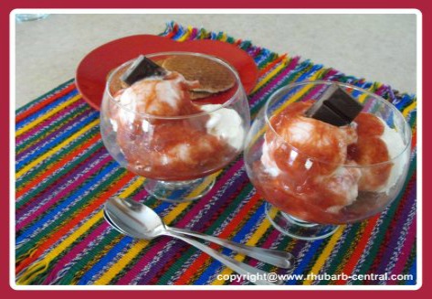 Ice Cream Topping with Rhubarb for New Year's 