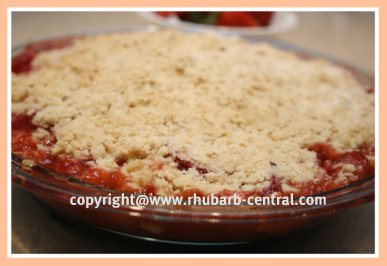 Homemade Strawberry Rhubarb Crumble Dessert Recipe